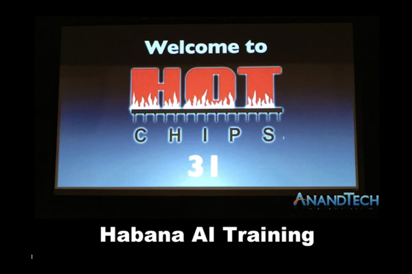 Hot Chips - Habana