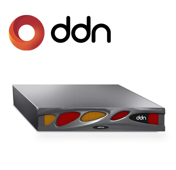 ddn server
