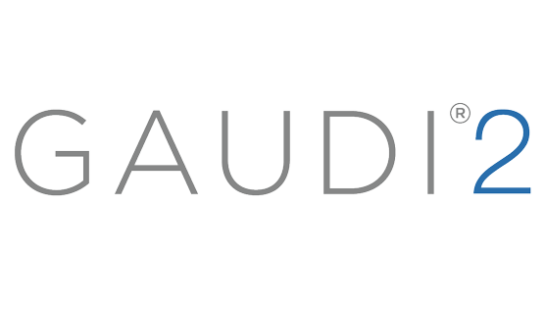 gaudi-2-grey