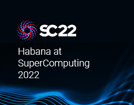 Habana at SC 2022