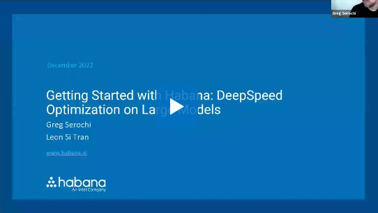 Getting started with Habana Deep Speed optimization on large models