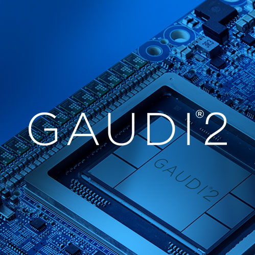Gaudi2 box